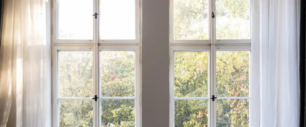 A bright view through a white-framed window looking out onto green trees on a sunny day.